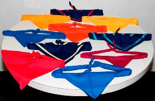 neckerchief