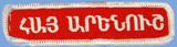 girl scout sign