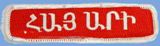boy scout sign