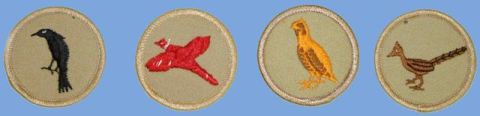 Boy and girl scout troop 3 totems