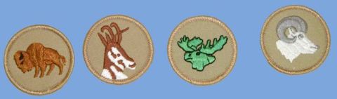 Boy and girl scout troop 5 totems